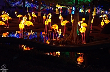 Chinese Lantern Festival