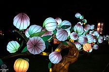 Chinese Lantern Festival