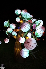 Chinese Lantern Festival