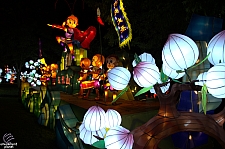 Chinese Lantern Festival