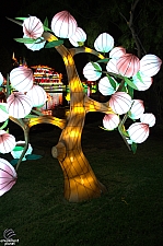 Chinese Lantern Festival