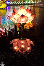 Chinese Lantern Festival