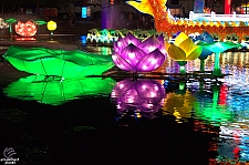 Chinese Lantern Festival