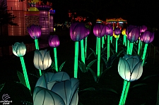 Chinese Lantern Festival