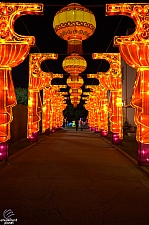 Chinese Lantern Festival