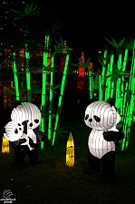 Chinese Lantern Festival