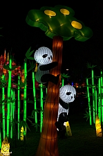 Chinese Lantern Festival