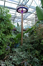 Midway Greenhouse