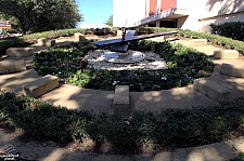 Flower Clock