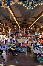 Dentzel Carousel