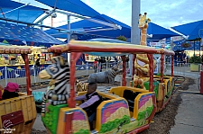 Safari Train