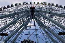 Texas Star