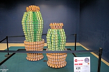 Canstruction