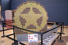 Canstruction