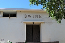 Swine Pavilion