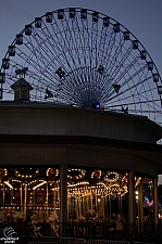 Dentzel Carousel