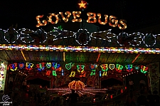 Love Bugs