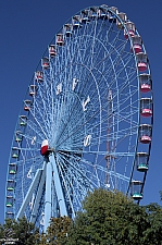 Texas Star