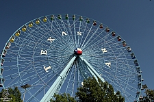 Texas Star