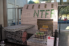 Canstruction