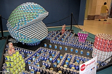 Canstruction