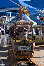 Safari Train