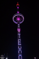 Top 'O Texas Tower