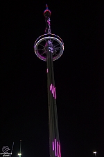 Top 'O Texas Tower