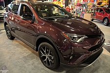 RAV-4