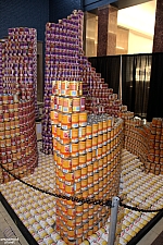 Canstruction