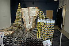 Canstruction