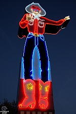 Neon Tex