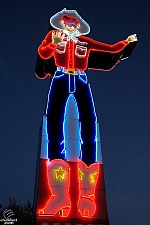 Neon Tex