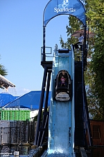 Sparklett's Log Flume