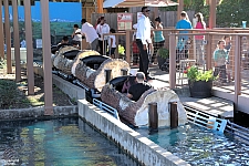 Sparklett's Log Flume