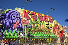 Konga