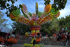 Lolli Swing