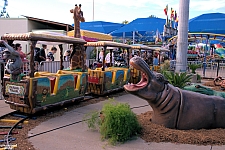 Safari Train