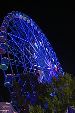 Texas Star