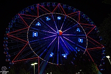 Texas Star