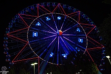 Texas Star