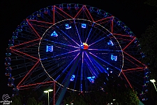 Texas Star