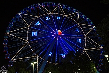 Texas Star