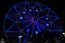 Texas Star