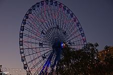 Texas Star