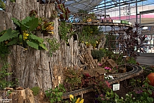 Midway Greenhouse