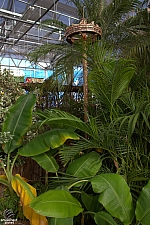 Midway Greenhouse