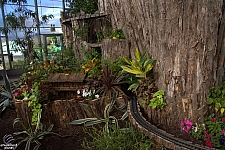 Midway Greenhouse