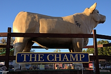 2017 State Fair of Texas