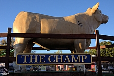 2017 State Fair of Texas